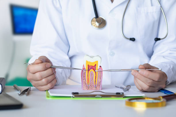 Best Emergency Cosmetic Dentistry in Maryville, TN